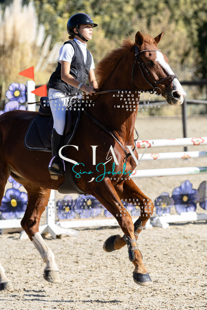 IMG_0711 | s-jay-photography - Realisiert mit Pictrs.com