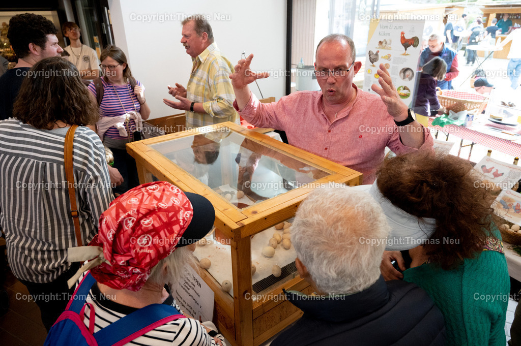 Ostermarkt_Lindenfels__DSC_9666 | bli, Lindenfels, Ostermarkt im und um das Bürgerhaus, ein Magnet waren die Eier im Brutschrank und die friusch geschlüpten Hühnerkücken, ,, Bild: Thomas Neu