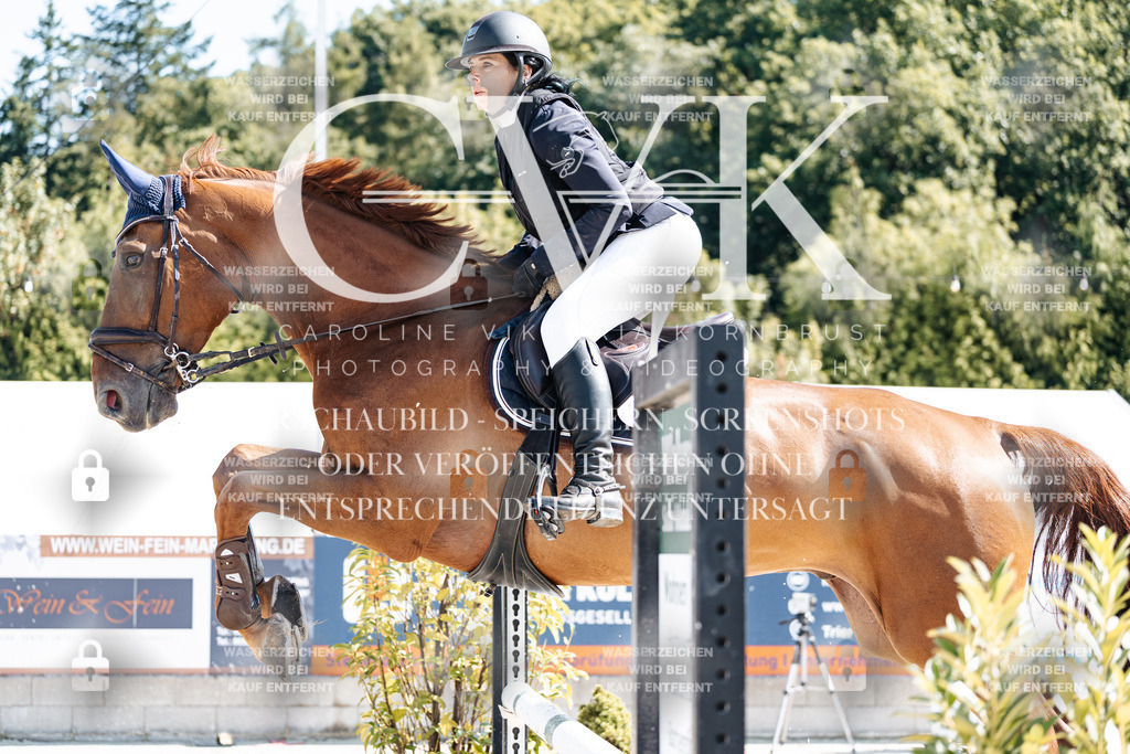 CK908410 | Turnierfotografie Pferdefotografie Trier Rheinland-Pfalz Pferdesport Reitsport Tierfotografie Sportfotografie Pferdevideo Pferdevideografie Equestrianvideography equestrianphotography  - Realisiert mit Pictrs.com
