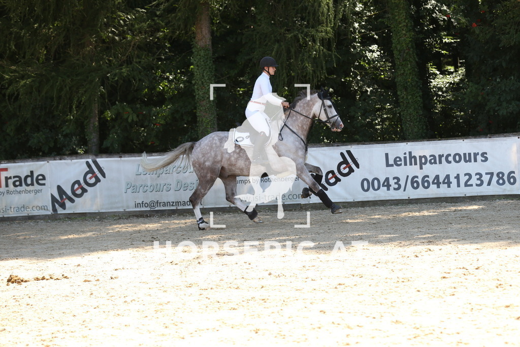 DL2Q9836 | Willkommen bei Brunnmayr - Design & Fotografie – Ihrem Spezialisten für Reitturniere und Pferdeveranstaltungen in Oberösterreich, Salzburg und Bayern! Seit über 17 Jahren sind wir leidenschaftlich dabei.