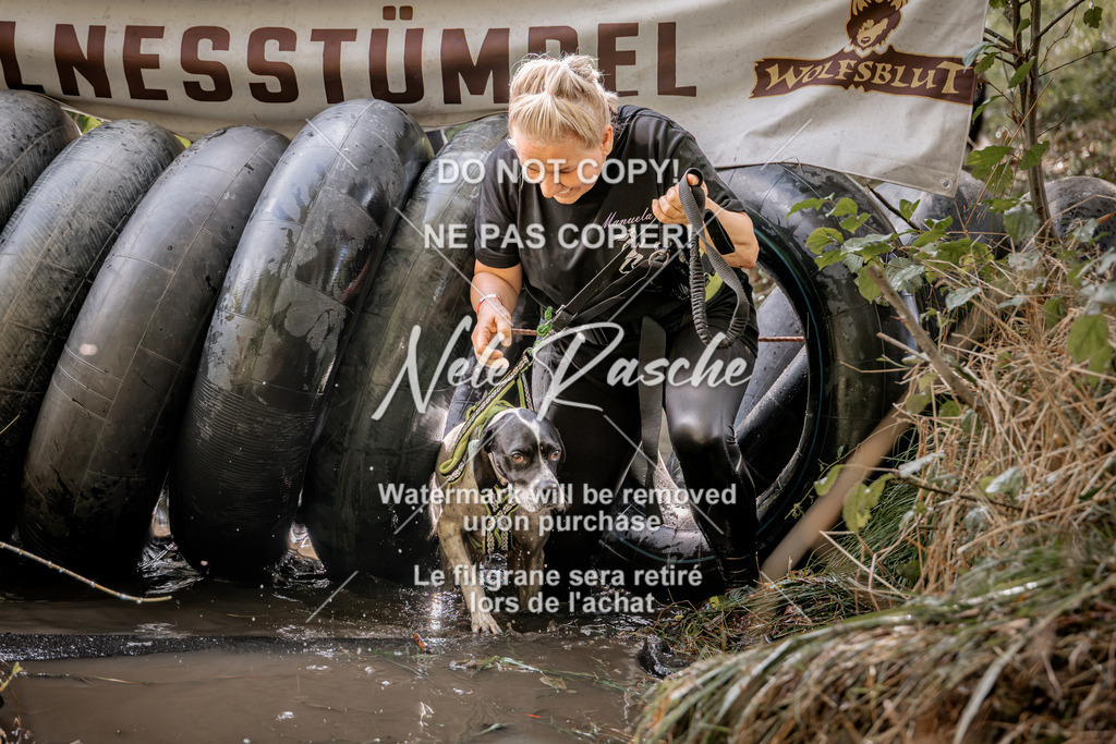 nelerasche_Hunsrück2026_Sa1400-1500_398 | nelerasche