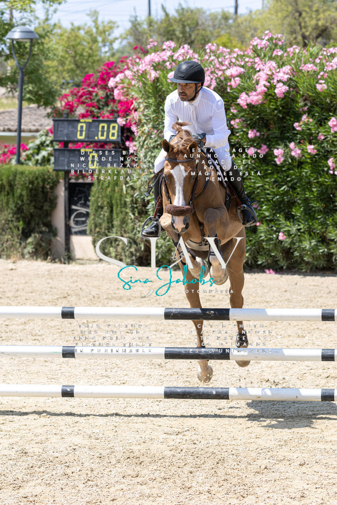 IMG_0777 | s-jay-photography - Realisiert mit Pictrs.com