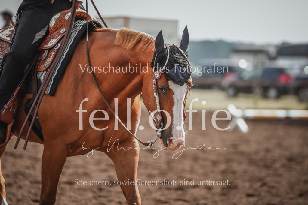 fell.o.fie_mandyjordan_2024_06_01389 | Mandy Klecke Fellfotografie, fell.o.fie Fotografenshop - Realisiert mit Pictrs.com