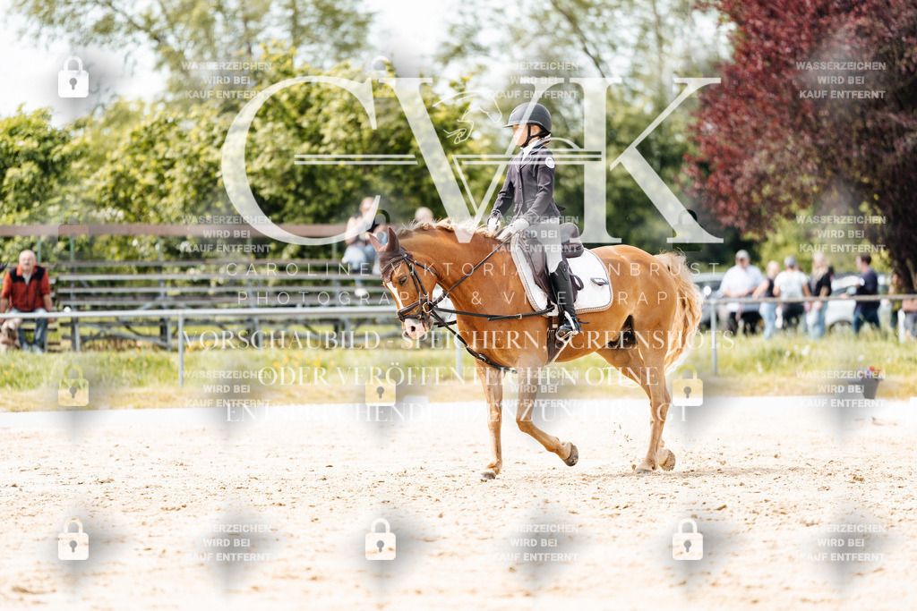 CK902477 | Turnierfotografie Pferdefotografie Trier Rheinland-Pfalz Pferdesport Reitsport Tierfotografie Sportfotografie Pferdevideo Pferdevideografie Equestrianvideography equestrianphotography  - Realisiert mit Pictrs.com