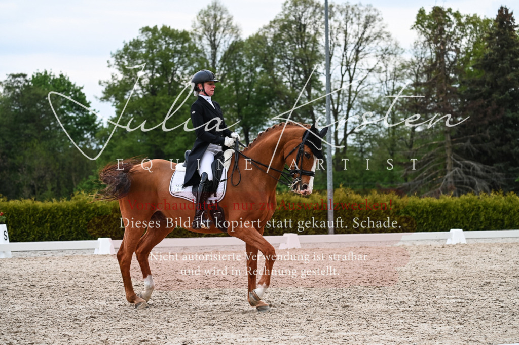 20230513_JK-Röhrsdorf-13-534 | Pferde- und Turnierfotografie in Westsachsen. Pferdeportraits, Auftragszeichnungen und intuitive Kunst.
