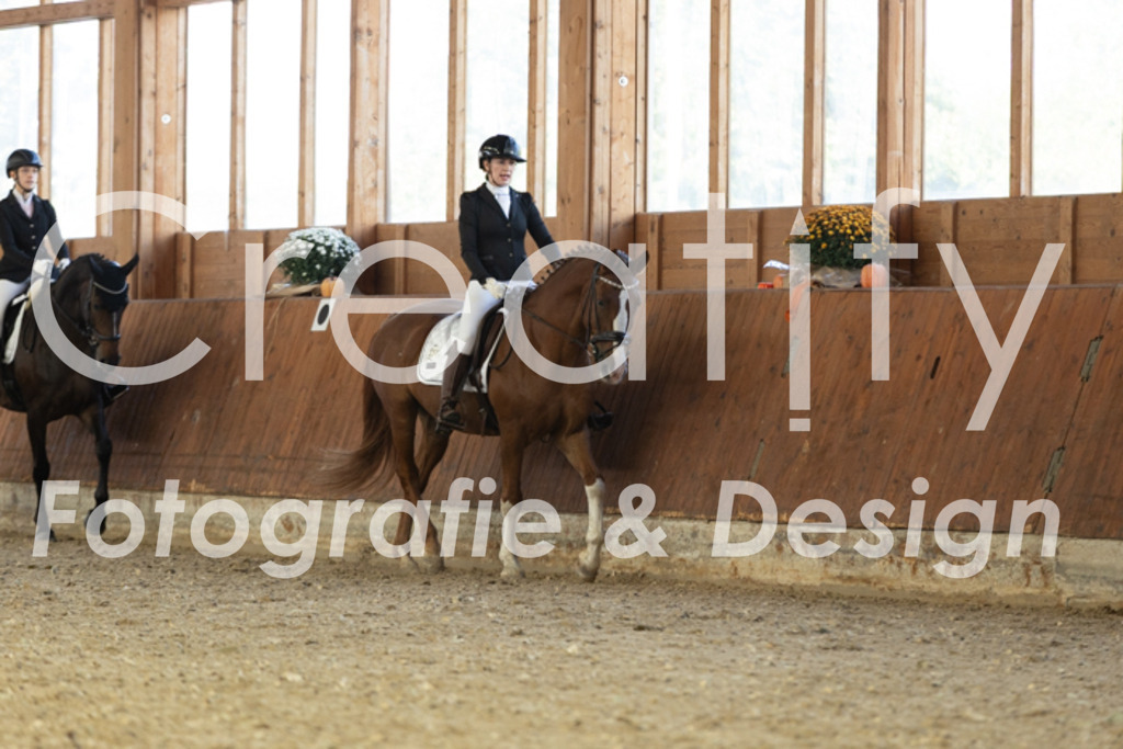 IMG_4833 | Creatify Fotografie