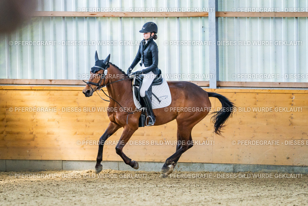 DSC03699 | Pferdegrafie