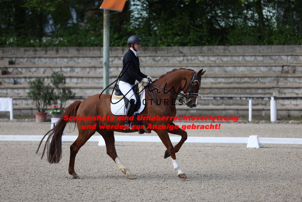 A40A3455 | lmwpictures - Realisiert mit Pictrs.com