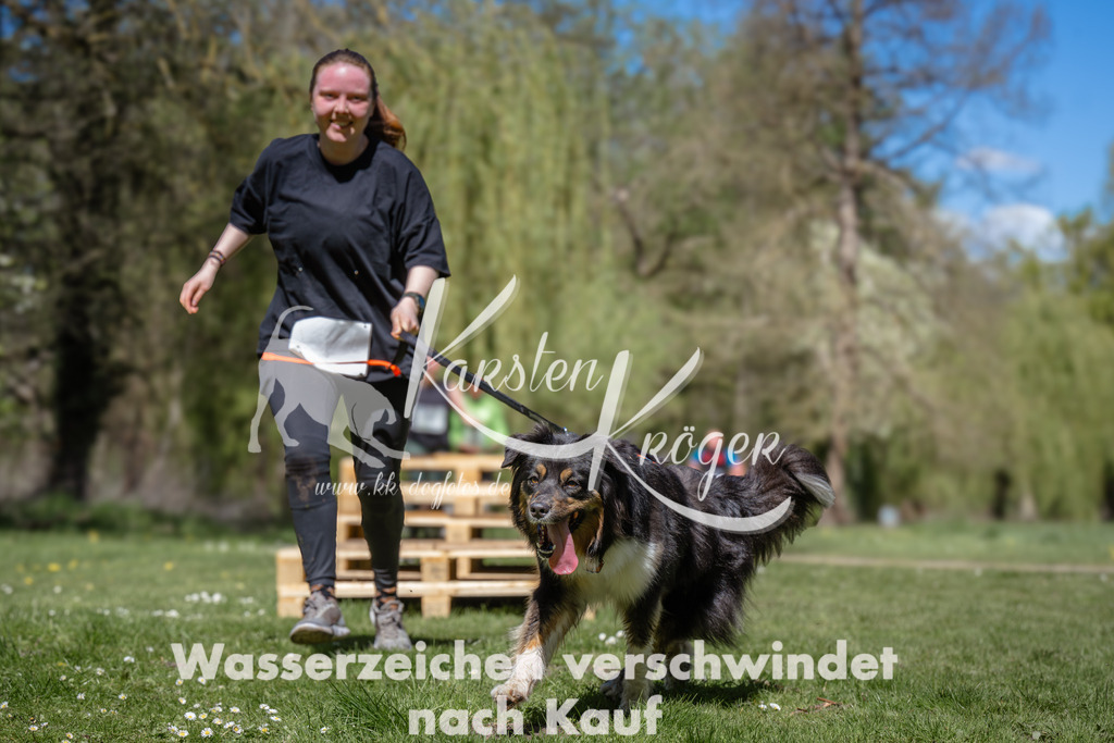 1245_ZZ94321 | kk-dogfotos