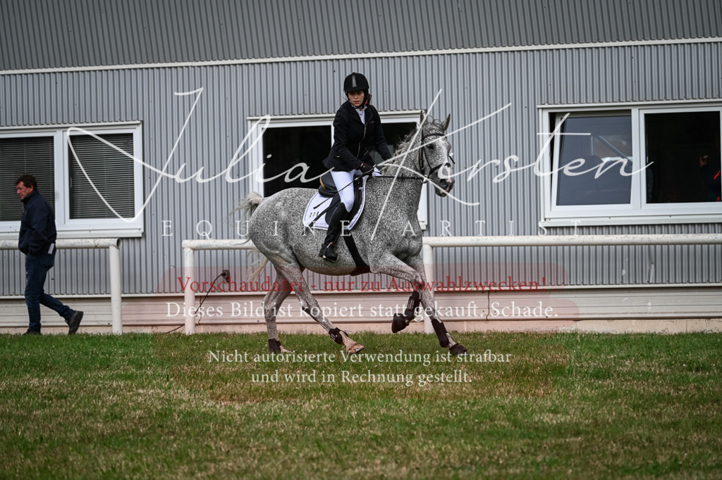 DSC_8334 | Pferde- und Turnierfotografie in Westsachsen. Pferdeportraits, Auftragszeichnungen und intuitive Kunst.