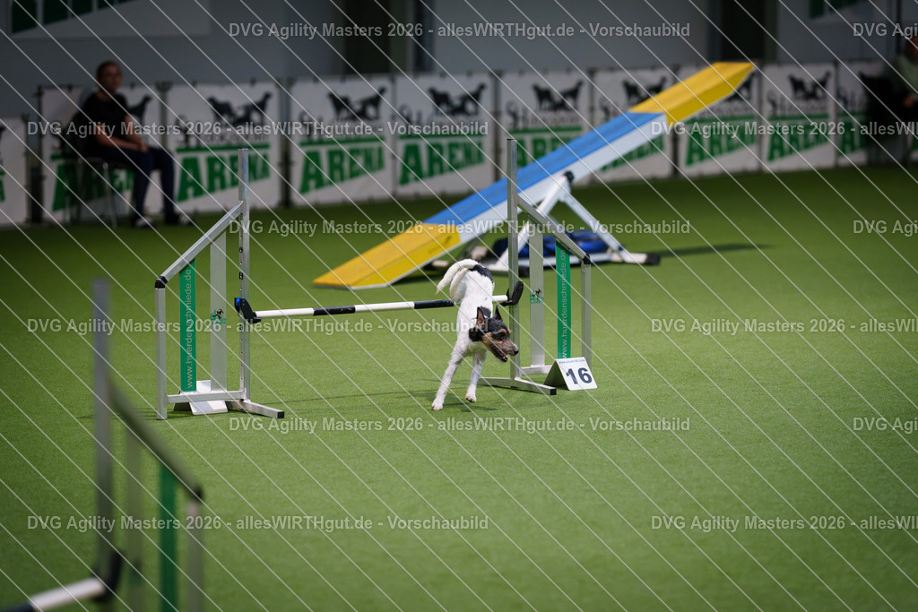 allesWIRTHgut_Tierfotografie-DVG_Agility_Masters_2026-16_32-7R503783 | Professionelle Tierfotografie in Mönchengladbach von Daniel Wirth (allesWIRTHgut). Liebevolle & natürliche Bilder von Hunden & Katzen für unvergessliche Erinnerungen.