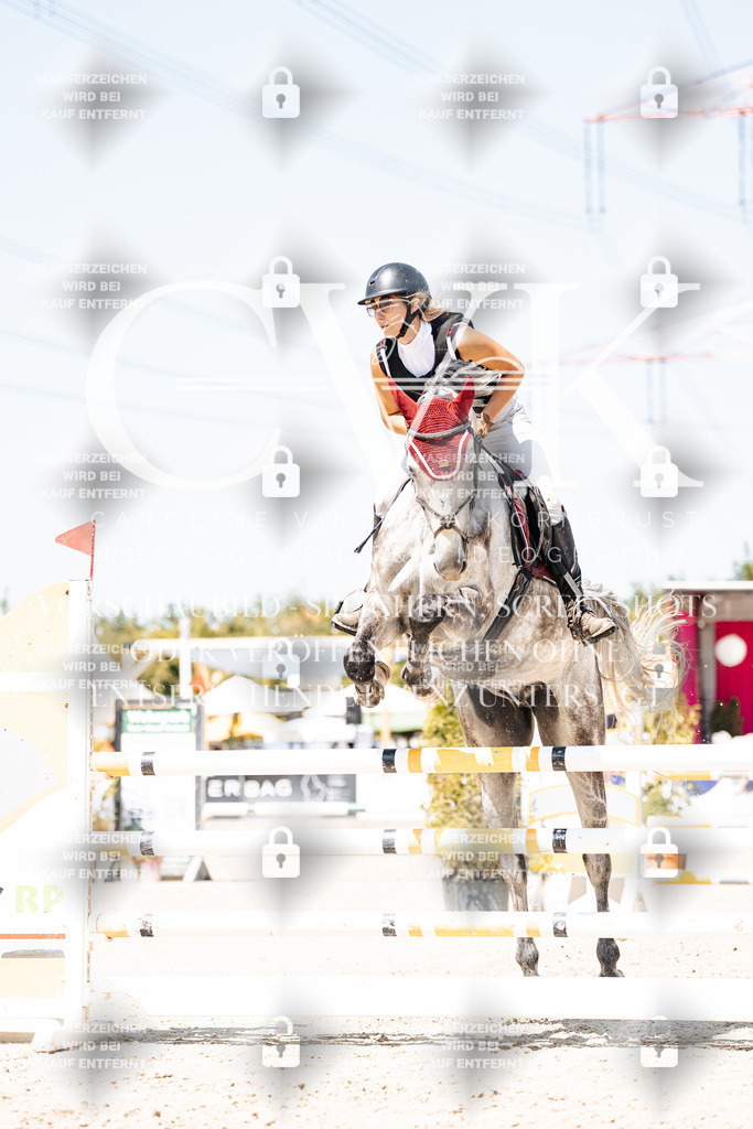 CK909681 | Turnierfotografie Pferdefotografie Trier Rheinland-Pfalz Pferdesport Reitsport Tierfotografie Sportfotografie Pferdevideo Pferdevideografie Equestrianvideography equestrianphotography  - Realisiert mit Pictrs.com