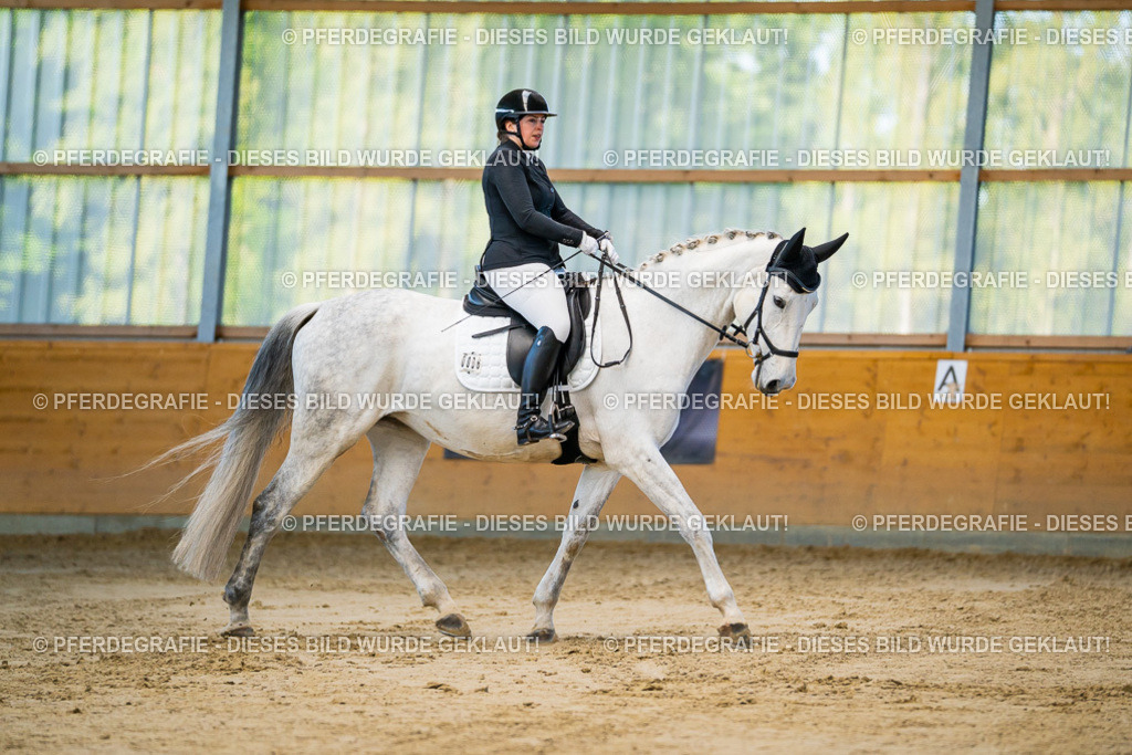 DSC06176 | Pferdegrafie