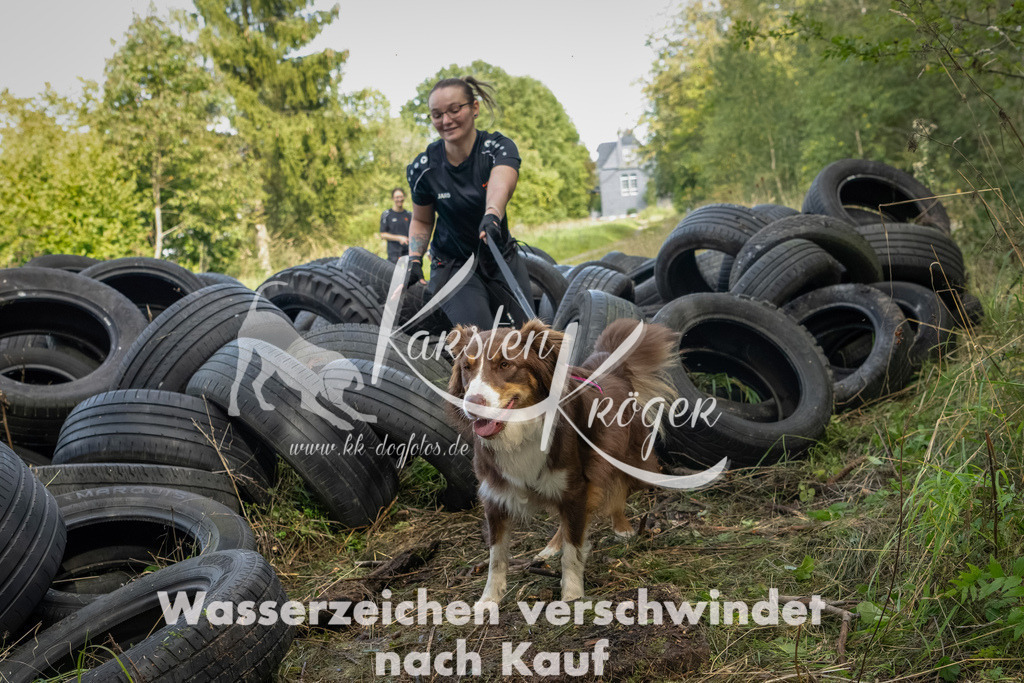 1505_ZZ91096-Bearbeitet | kk-dogfotos