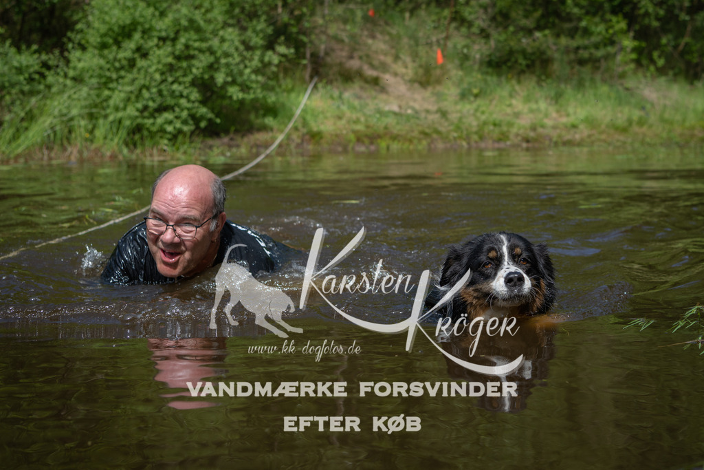 1131DKK990515 | kk-dogfotos