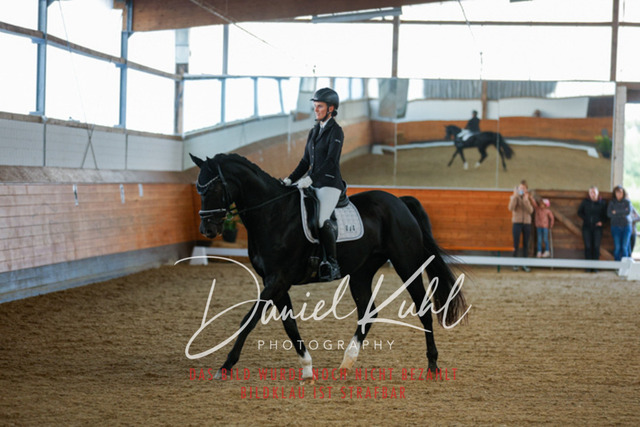 _62_6659 | Turniersportfotografie; Pferdefotografie; Dressurfotografie