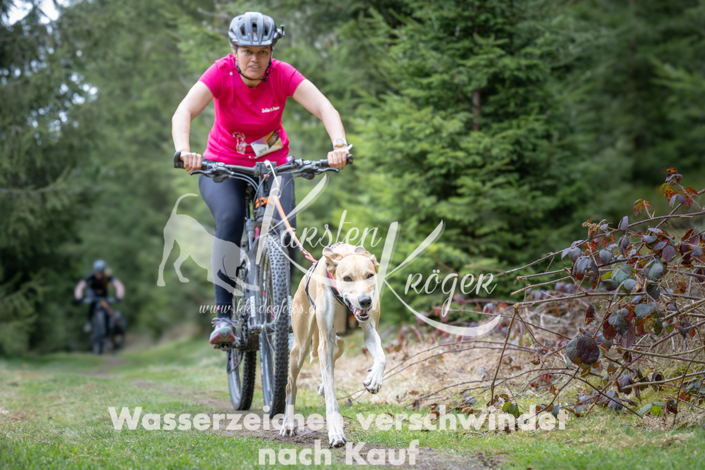 1310_ZZ93809 | kk-dogfotos