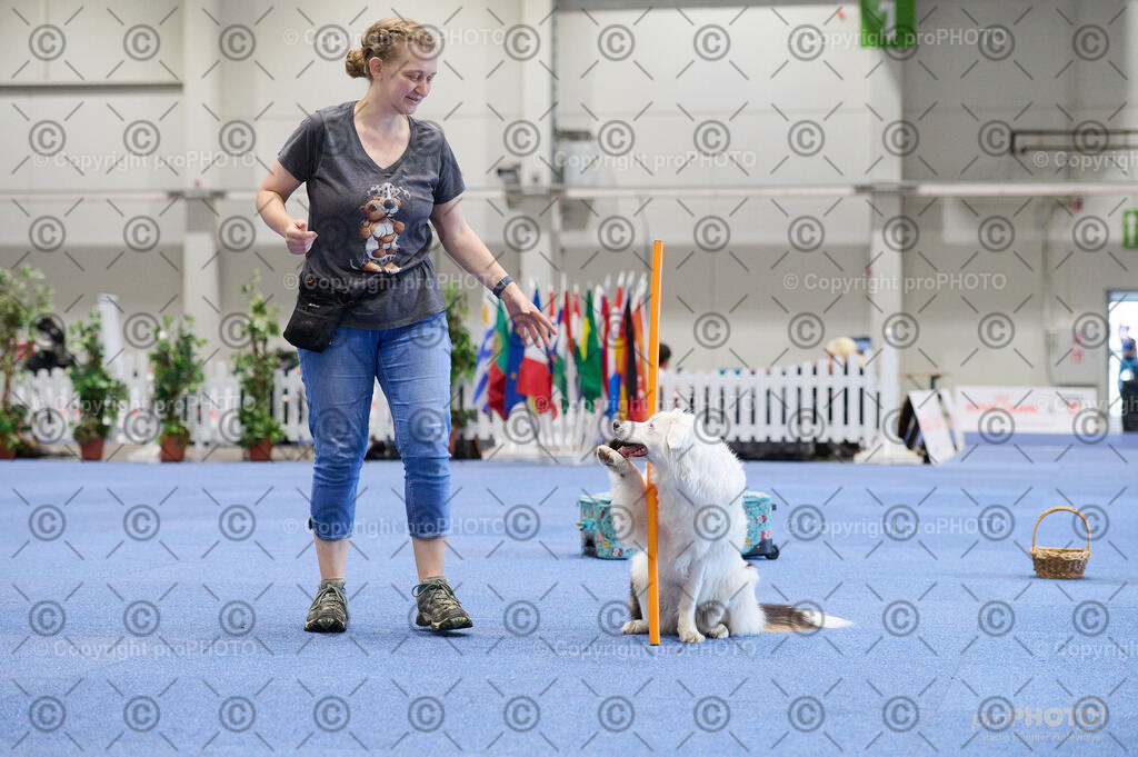 202406_ÖKV-IHA-Tulln24_DSC_4523 | proPHOTO - Realisiert mit Pictrs.com