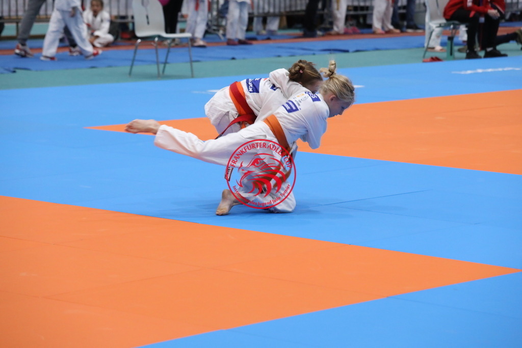 1J7A3025 | Fotos vom Adler Cup - Pictures from Adler Cup

Hier findet Ihr alle Eindrücke und großen Momente der Adler Cup Wochenenden. Here you will find all impressions and great moments of the Adler Cup weekends. - Realisiert mit Pictrs.com