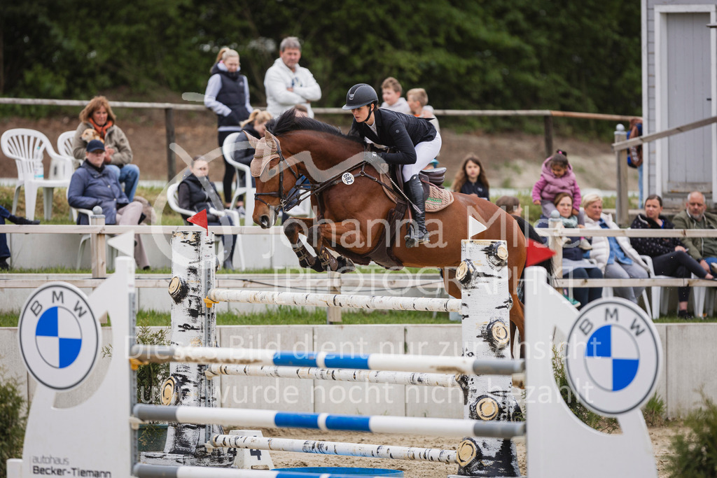 250504_SpengeW_Stil-S-515 | Deine schönsten Turniermomente als professionelle Fotos! Entdecke hochwertige Pferdesport-Fotografie im Online-Shop. Jetzt Fotos finden & bestellen!