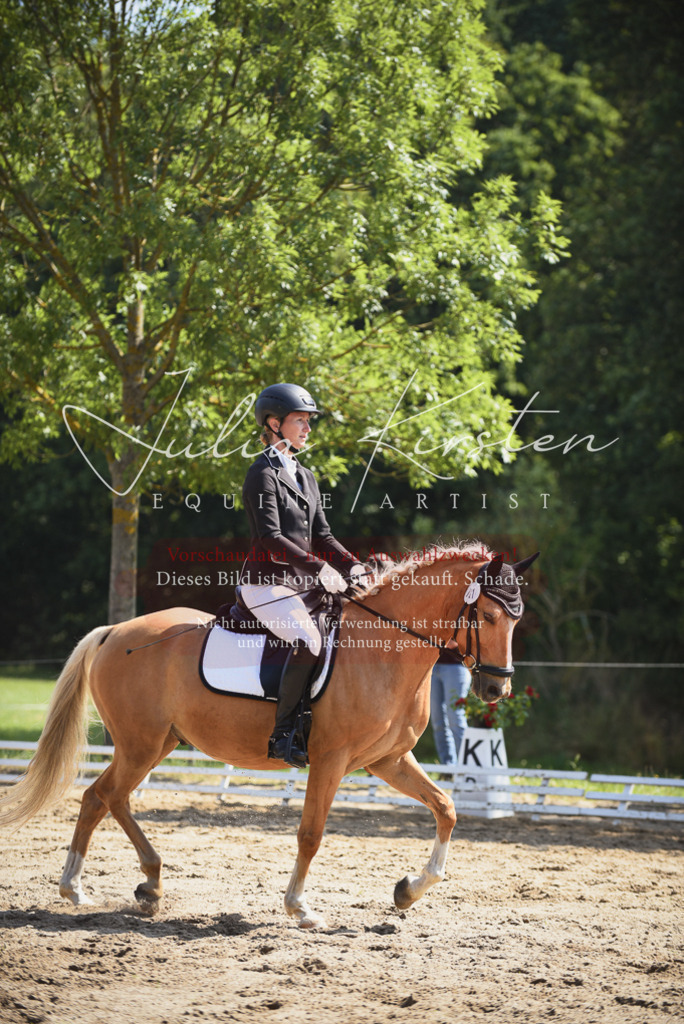 DSC_0588 | Pferde- und Turnierfotografie in Westsachsen. Pferdeportraits, Auftragszeichnungen und intuitive Kunst.