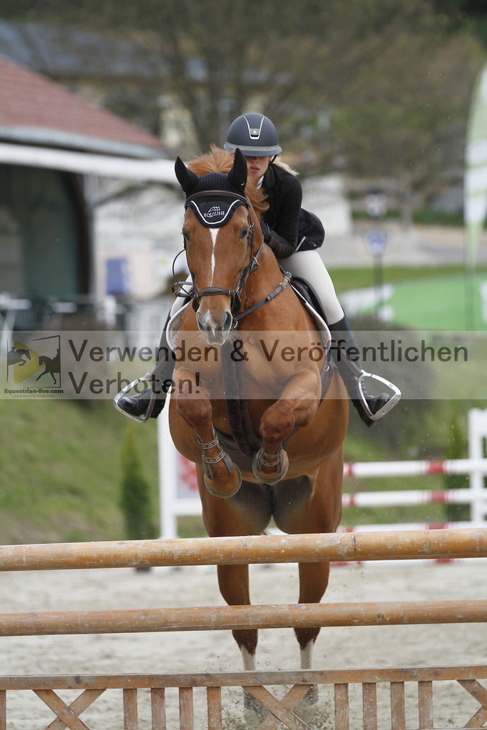 _MG_1170 | equestrian-live-com