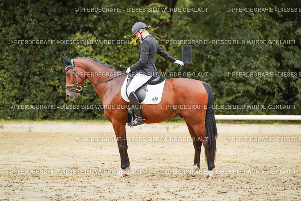 DSC09570 | Pferdegrafie