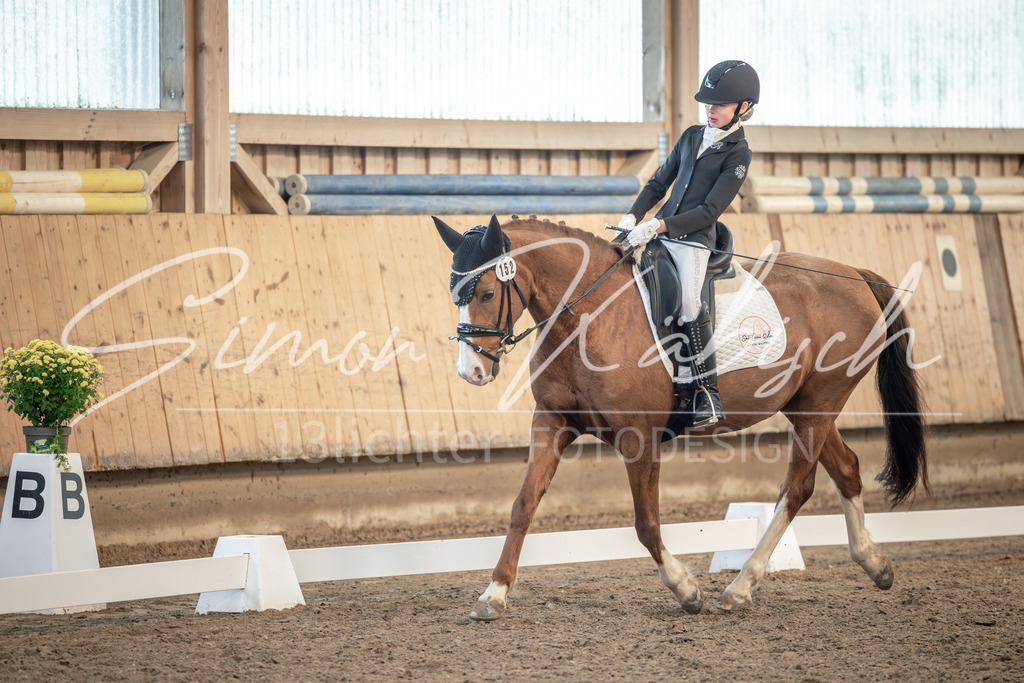 20251011-_3LI6935 | Tierfotografie Pferde, Hunde, Katzen, Haustiere.
Turnierfotografie Reitturniere, Reiten, Springreiten, Dressur in Hanau, dem Main-Kinzig-Kreis und dem Rhein-Main- Gebiet um Frankfurt