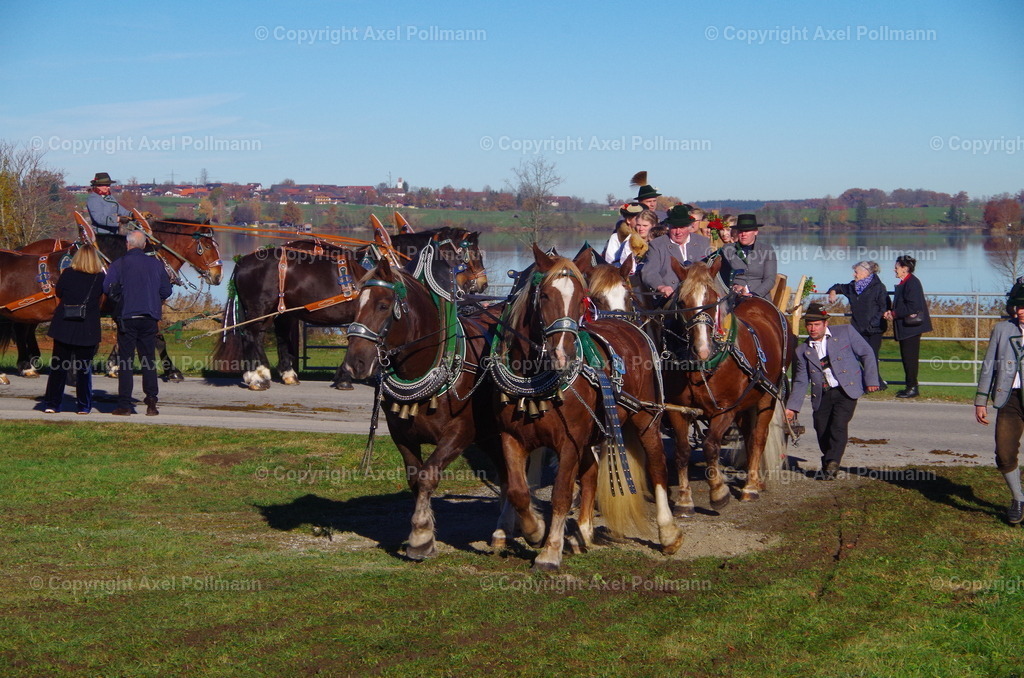 IMGP7533 | fotografiert von Axel PollmannLeonhardi Wallfahrt Benediktbeuern und Murnau, Fronleichnam, Fasching, Landschaft im Loisachtal und Benediktbeuern  - Realisiert mit Pictrs.com