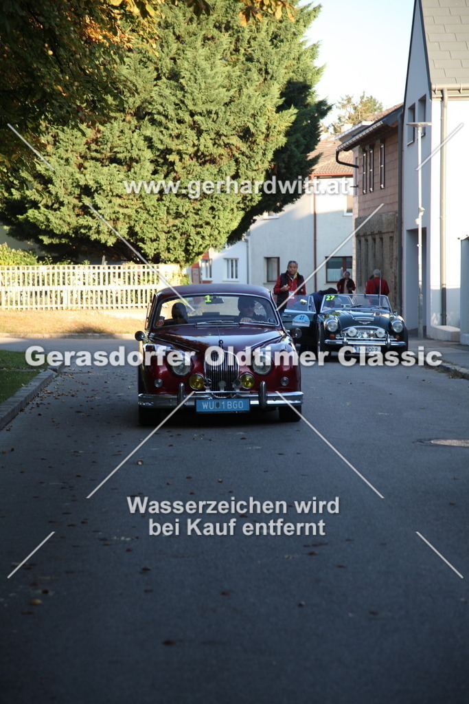 IMG_3822 | Gerhard Witt