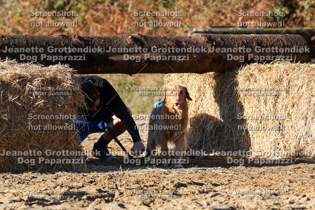 Dog Paparazzi - Strongdog 10-25-1419 | Dog Paparazzi Jeanette Grottendiek Fotografie & Videografie - Realisiert mit Pictrs.com