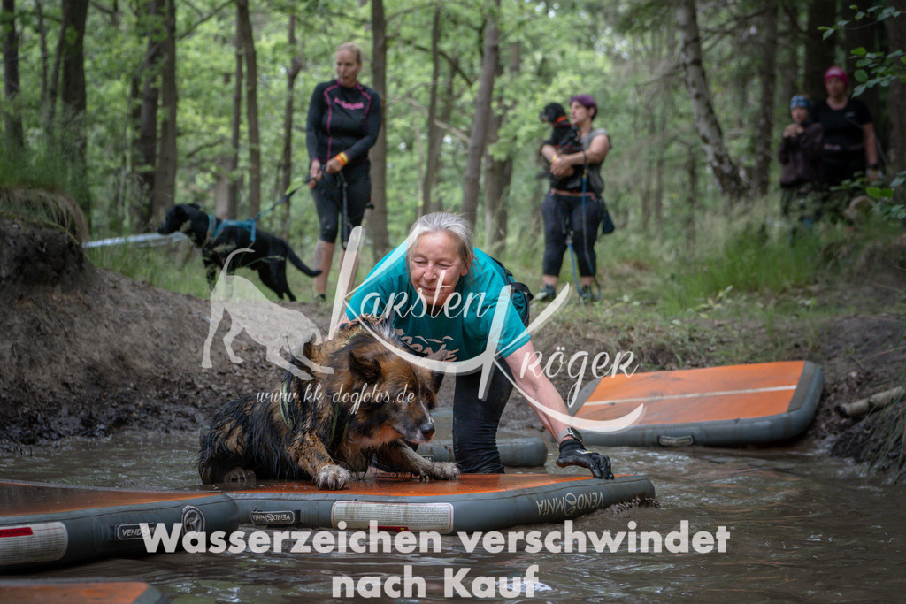 1248_ZZ91076 | kk-dogfotos