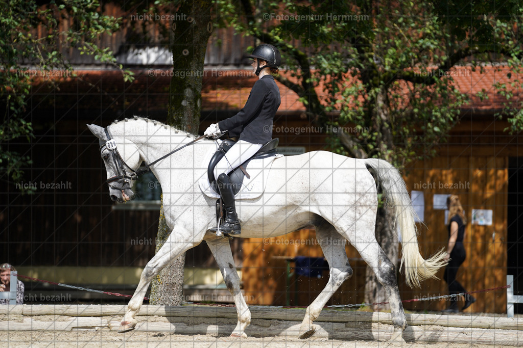 20230826-FAH05373 | Forstinning, 2023, Dressurturnier, Turniersportbilder, Turnierfotografen Bayern, Fotoagentur Herrmann, Reitsportfotografie, Turnierbilder