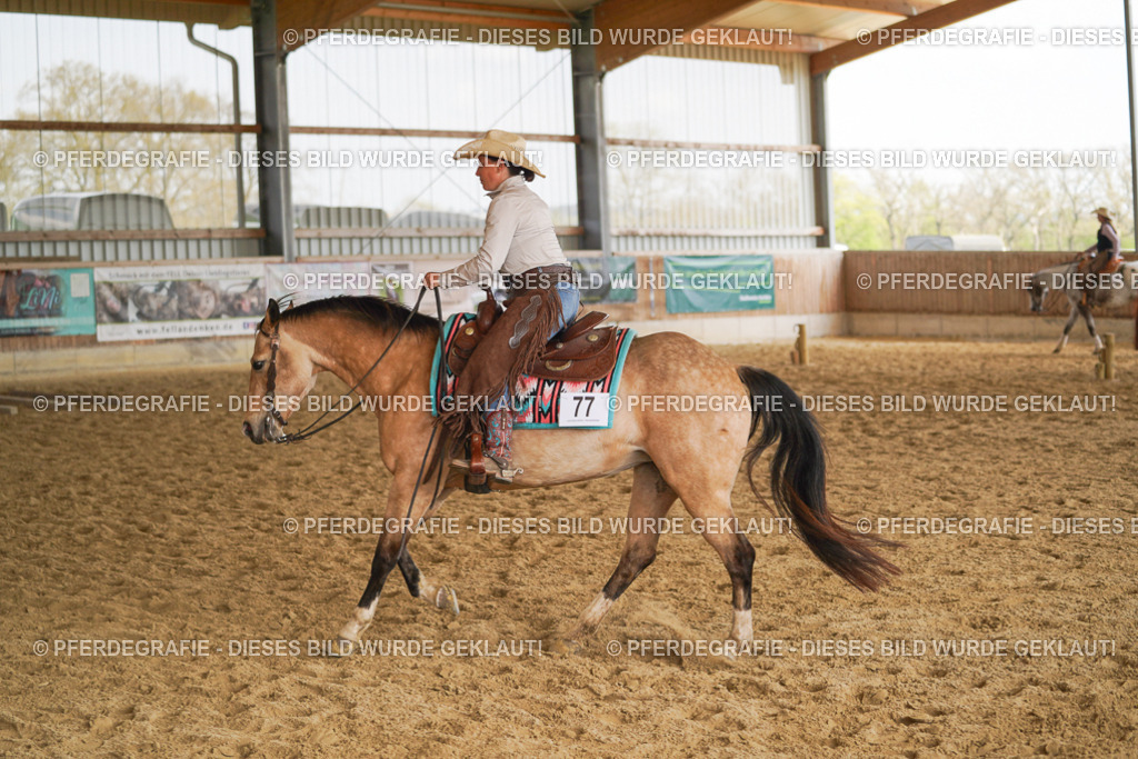 DSC01849 | Pferdegrafie