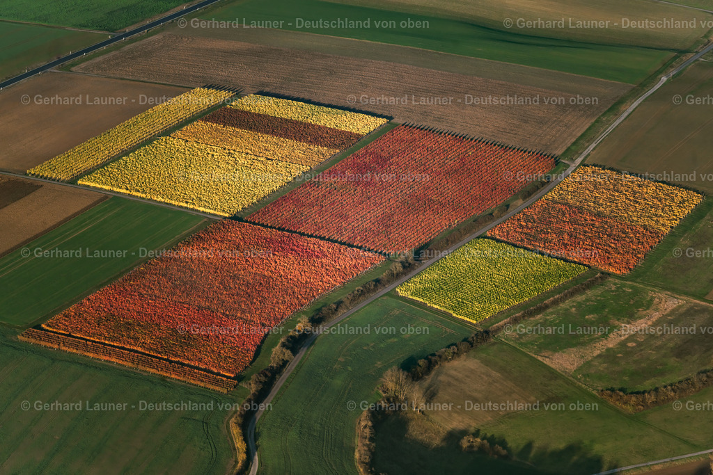 4042423 | Weinbergslandschaft an der Mainschleife bei Escherndorf und Nordheim