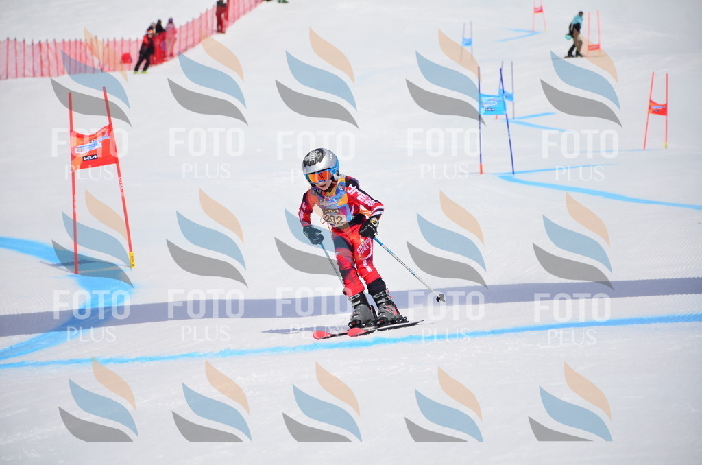 VR4_7021 | holidayphoto