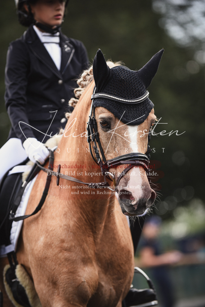 DSC_3821 | Pferde- und Turnierfotografie in Westsachsen. Pferdeportraits, Auftragszeichnungen und intuitive Kunst.