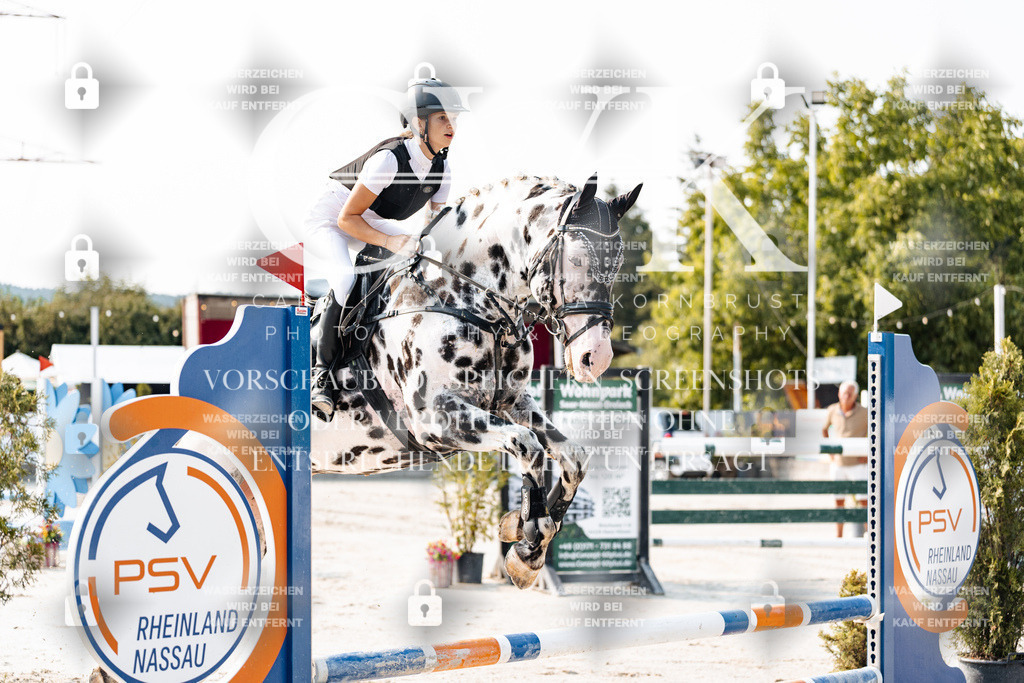 CK902803 | Turnierfotografie Pferdefotografie Trier Rheinland-Pfalz Pferdesport Reitsport Tierfotografie Sportfotografie Pferdevideo Pferdevideografie Equestrianvideography equestrianphotography  - Realisiert mit Pictrs.com