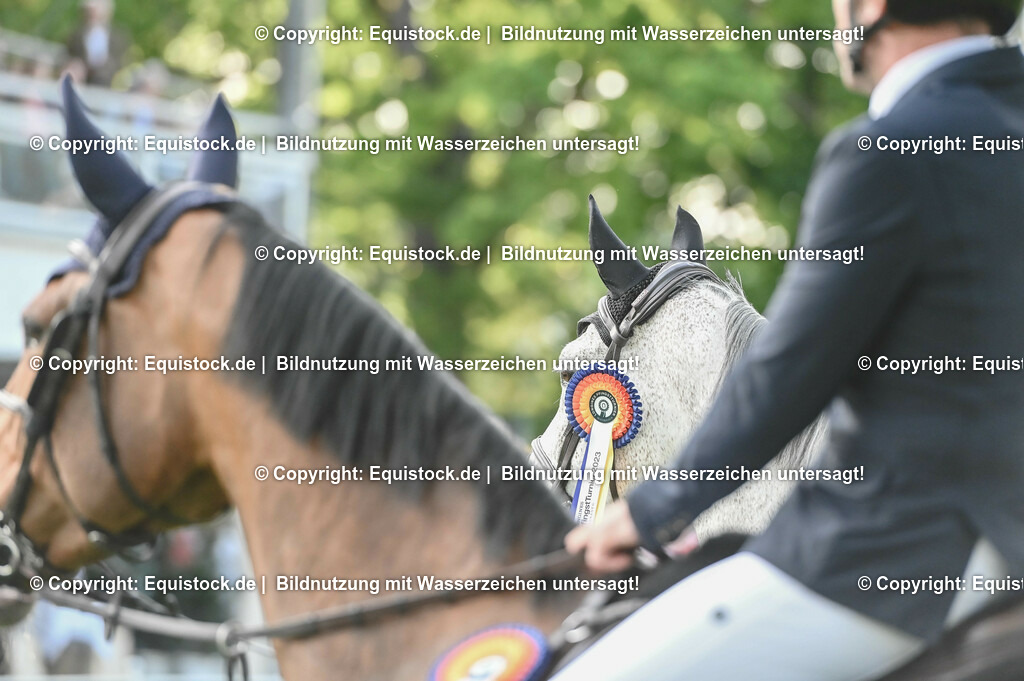 20230526_Impressionen_0247 | equistock