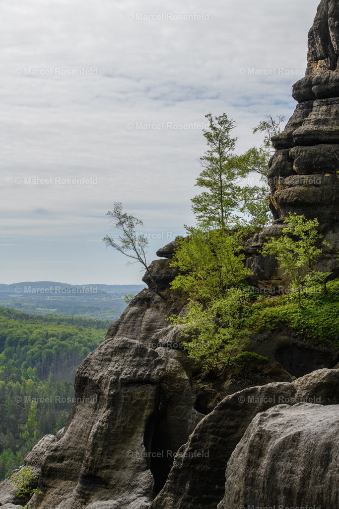 _DSC4952 (1) | foto-rosenfeld