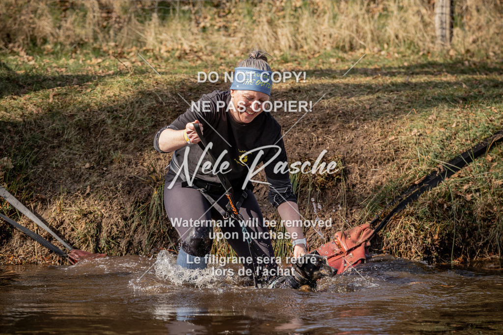 nelerasche_FS1330-1400_337 | nelerasche