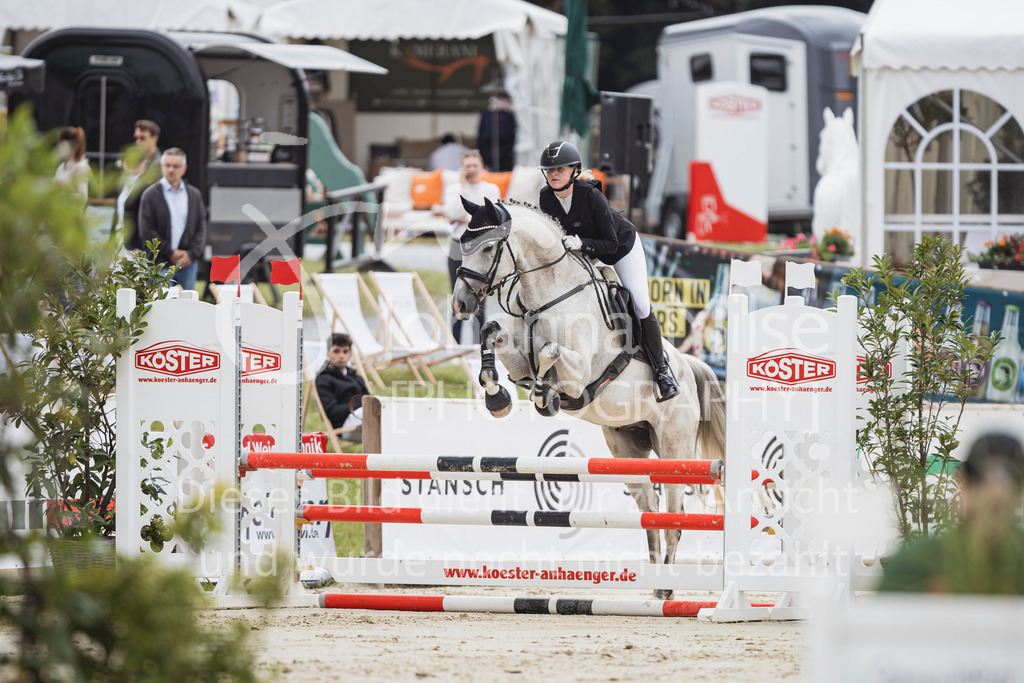250710_BHO_Stil-A1-2-148 | Deine schönsten Turniermomente als professionelle Fotos! Entdecke hochwertige Pferdesport-Fotografie im Online-Shop. Jetzt Fotos finden & bestellen!
