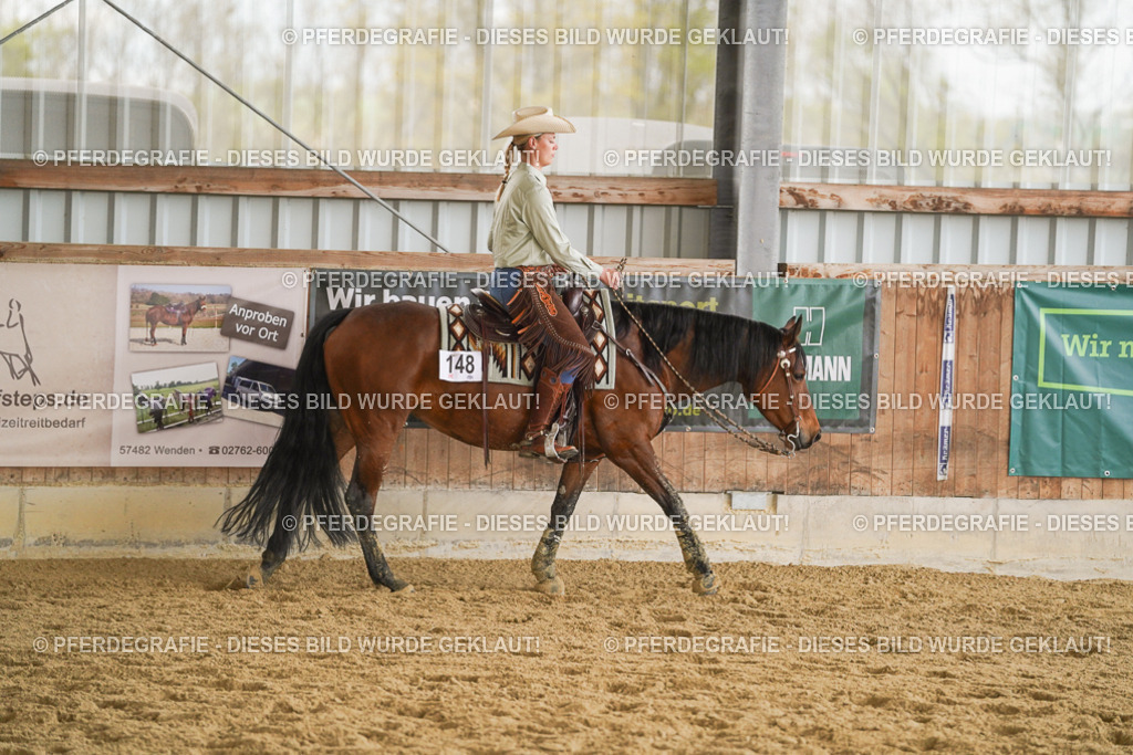 DSC09147 | Pferdegrafie