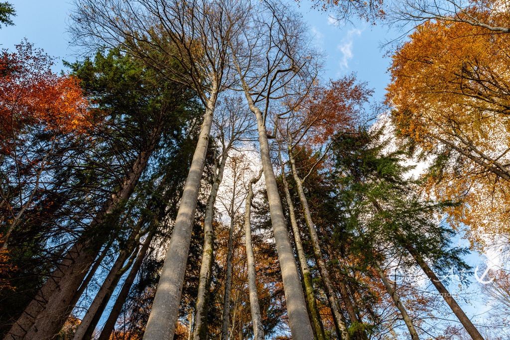 20251024-EAF_6526 | Eilun-Art-Fotografie Levke Martens, ihre Fotografin für Immobilien- und Landschaftsfotografie auf Föhr, Föhrer Motive als Poster, Leinwand, hinter Acrylglas oder stelle dir deinen eigenen Monatskalender zusammen, mit nur einem Klick