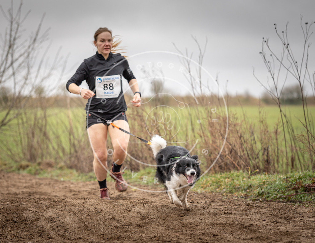 DV3A9956 | Hundefotografie, Tierfotograf, Pfotenfotografie, Fotoshooting Hund, Hunde Portrait, Hundesport, Hundeportraits, Heideshooting, Hunde, Sportfotograf, Hundefotograf, Turnierhundsport, THS,  - Realisiert mit Pictrs.com