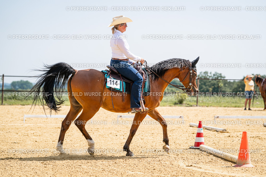 DSC00459 | Pferdegrafie