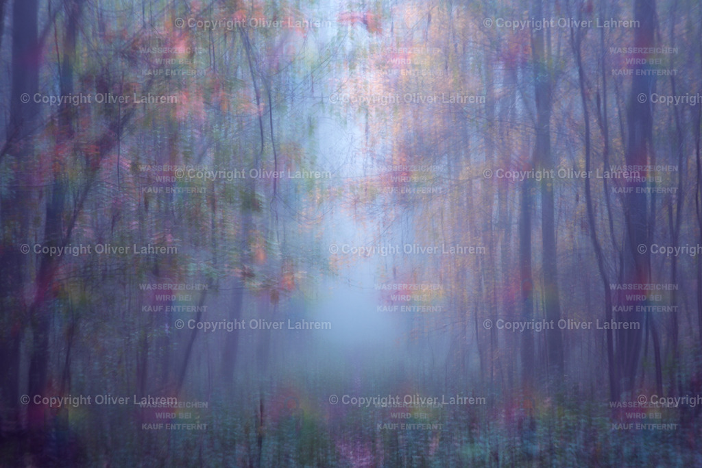 Impression eines Nebelwaldes | Die Fotografie zeigt von Laub bedeckten Weg, der in  einen neblig herbstlichen Wald in all seinen bunten Farben führt., Durch einen Bewegungseffekt wirkt die Szenerie wie eine Impressionistisches Bild.