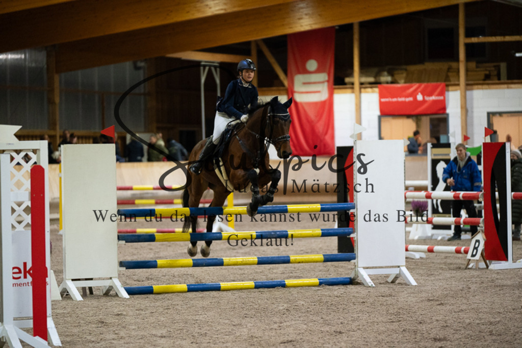 A7V03342 | Pferdefotograf