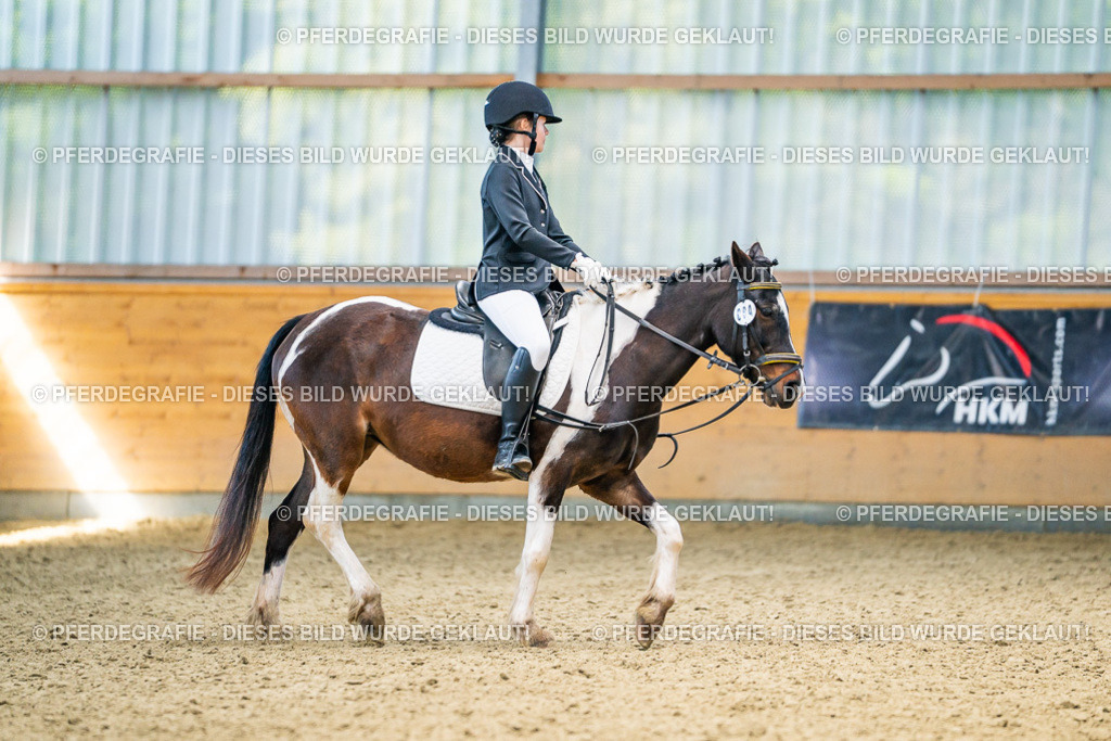 DSC03211 | Pferdegrafie