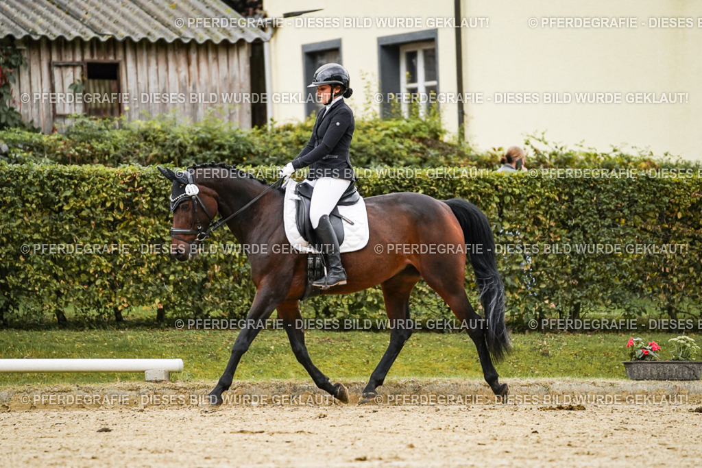 DSC06995 | Pferdegrafie